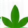Green Eco-Friendly Car Wash Certification Icon